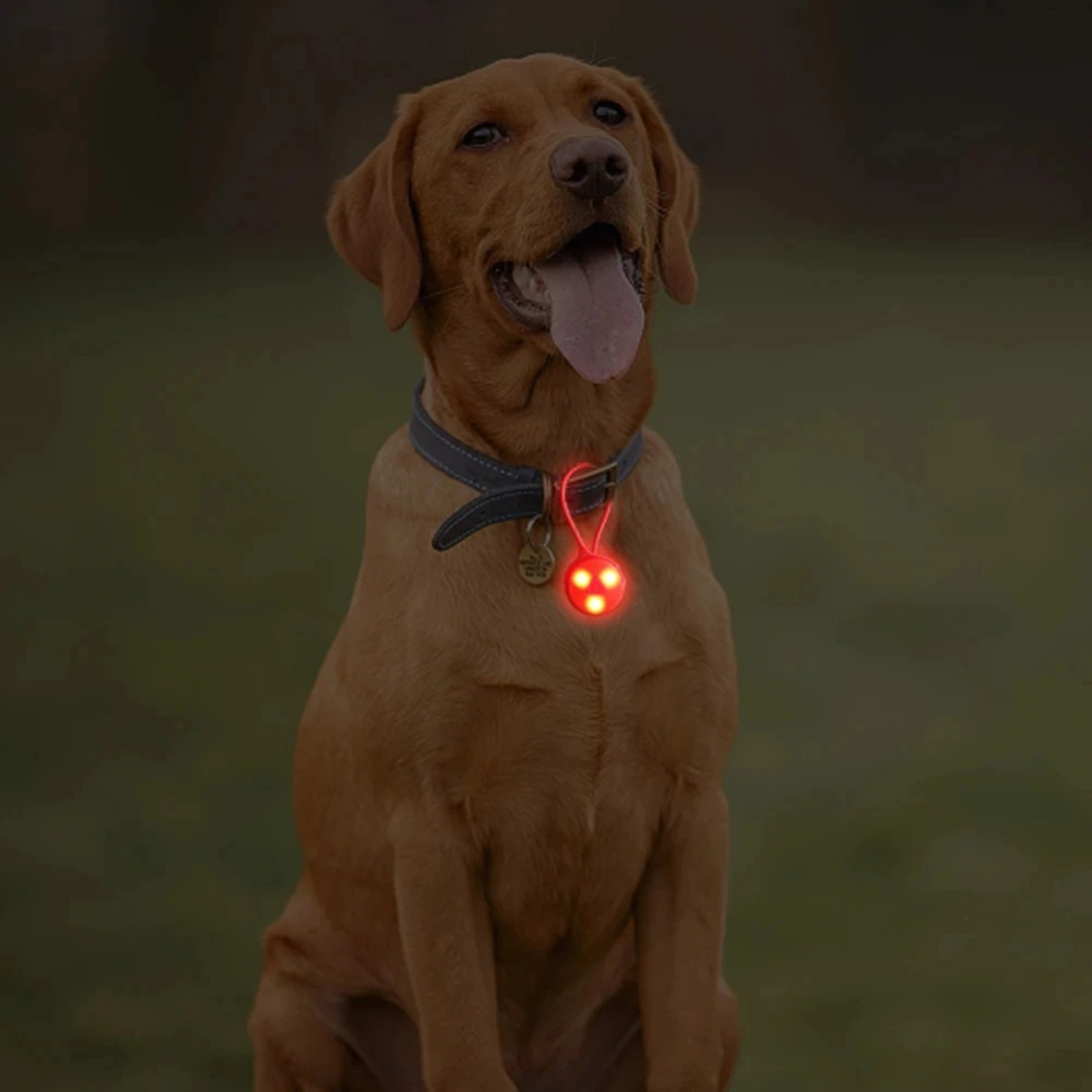 أضواء حقيبة الظهر الخارجية، مص - مراجعة Running Gear Reflective وسعره